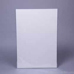 POLYESTER (Mylar) Sleeve for flat N
